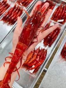 北海海鲜红魔虾海虾日料刺身10到13一斤258包邮到手450g