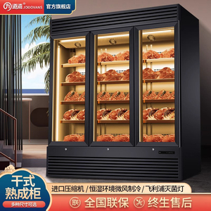 干式熟成柜恒温海鱼火锅牛肉排酸柜冷藏冷冻柜西餐牛排红酒展示柜