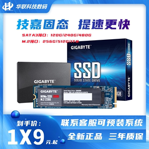 Gigabyte/技嘉 240g 120G 480G M.2 256G 512G NVME SSD固态硬盘