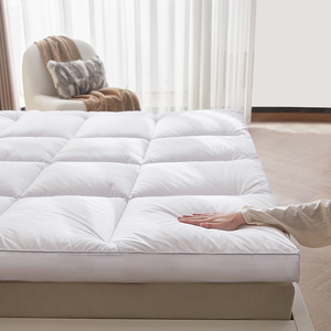 超软五星级酒店床垫10cm双人1米5家用1米8宽加厚大床2米乘2.2床褥