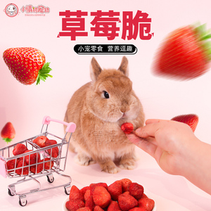 宠物兔子磨牙零食冻干草莓脆草莓脆冻干脆水果干零食龙猫豚鼠零食