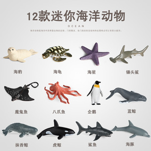 跨境仿真迷你海洋小动物玩具鱼缸场景摆件抹香鲸巨齿鲨海龟座头鲸