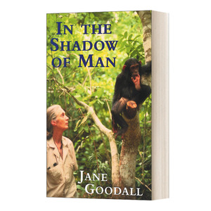英文原版 In the Shadow of Man 黑猩猩在召唤 珍·古道尔 英文版 进口英语原版书籍