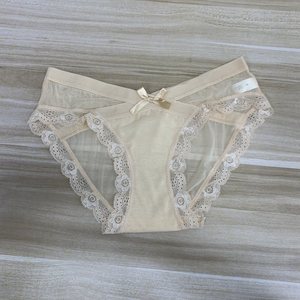 剪标出口sexy underwear性感蕾丝无痕低腰超薄透明网纱蝴蝶结内裤