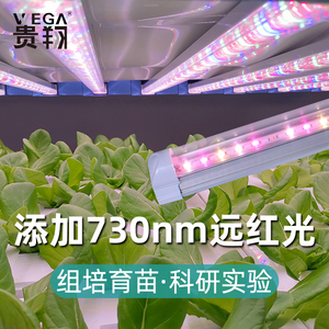 贵翔 远红光植物生长灯LED植物工厂组培实验红蓝T8全光谱补光灯