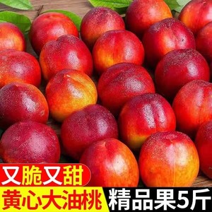 黄心油桃大桃子3斤当季斤新鲜水果应季水密桃整箱包邮孕妇蜜脆桃