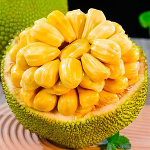 海南菠萝蜜新鲜水果当季三亚甜黄肉波萝蜜一整个水果新鲜整箱特产