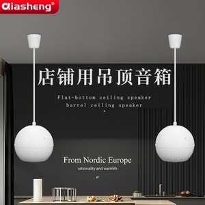 Qiasheng吊球音响店铺专用天花喇叭室内吊顶无线蓝牙功放音箱套装