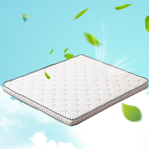 棕垫5厘米3D环保棕成人床垫20cm弹簧床垫席梦思软硬2用环保棕床垫