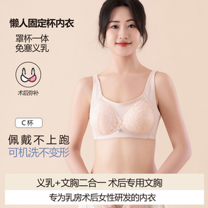 义乳文胸乳腺胸罩癌术后专用硅胶假乳房内衣异乳仪乳二合一文胸