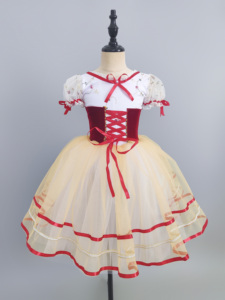 芭蕾舞裙女童酒红色吉赛尔长裙专业演出服团体比赛汇演机构表演服