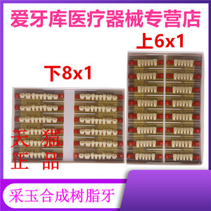 牙科材料采玉合成树脂牙 玉鹰 烤瓷假牙全口义齿 口腔材料