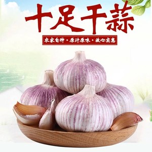 坏果包赔】新鲜干算大蒜头干蒜子种籽5斤紫红白皮生大祘。