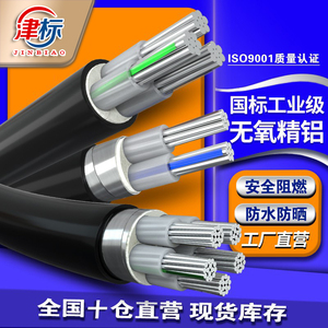 国标铝芯电缆线2 3 5芯16 25 35 50 120平方铝线电线铝电缆户外