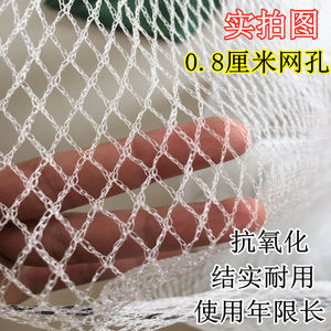 养鸡网网箱养殖网专用天网果园防鸟尼龙网鱼网拉网小孔网围栏护网