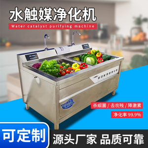 果蔬净化清洗机水触媒蔬菜食品净化机水果蔬菜去农药残流洗菜机
