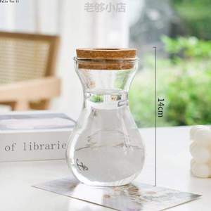 ?绿萝插简约盆栽透明花瓶植物花瓶创意水养罗汉松玻璃九里香水培