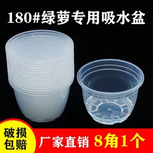 180绿萝专用懒人储水花盆自动吸水杯透明塑料水培免浇水花盆