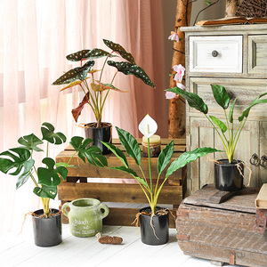 北欧ins仿真植物装饰创意小摆件客厅桌面盆栽家居室内假绿植盆景