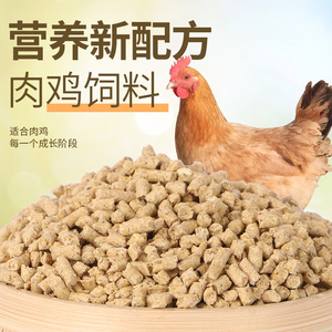 直销100斤鸡饲料高营养蛋白小鸡开口母鸡鸭鹅下蛋打窝颗粒全价料