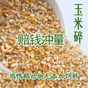 碎玉米粒喂鸡低价特价清仓现磨碎玉米绿色饲料喂鸡鸭鸽子20斤