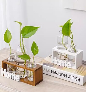 简约水培玻璃透明小花瓶水养绿萝植物花盆瓶子插花装饰品创意摆件
