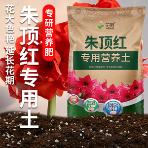 种朱顶红专用土营养土球根种球专用土花土壤专用肥料泥土种植土