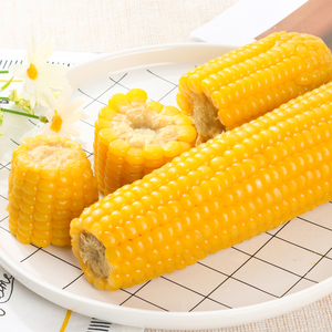 新鲜现摘糯玉米棒真空装加热即食黄黏有机玉米早代餐粗粮
