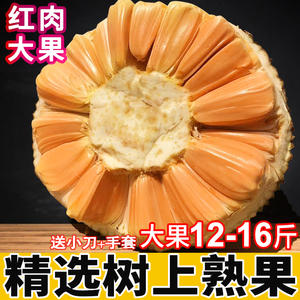 红肉菠萝蜜红心新鲜水果一整个木菠萝大果熟果10-12-16斤包邮