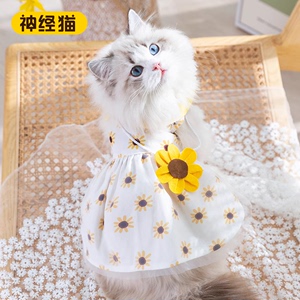 可爱小猫咪立体花朵挎包背心裙子布偶猫衣服蓝猫幼猫春季夏季薄款