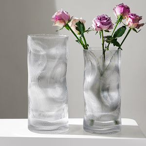 异形欧式创意曲线透明玻璃花瓶客厅餐桌软装摆件水培干鲜插花器