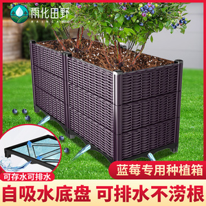 蓝莓树专用种植箱家庭长方形塑料花盆加深种菜盆果树竹子户外花箱