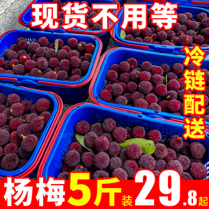 顺丰现货 2024年浮宫杨梅鲜果5斤新鲜现摘应季水果非冷冻整箱孕妇
