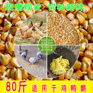 玉米饲料80斤喂鸡鸭鹅玉米碎玉米粉老玉米粒酿酒干玉米碎大米10kg