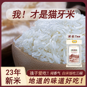 2024年新米猫牙米长粒香大米5kg10斤泰国香米丝苗米煲仔饭专用米