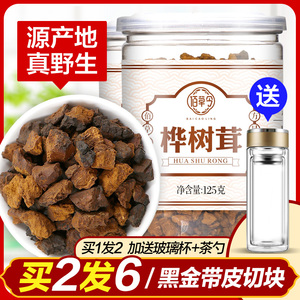 买2发6桦树茸白桦茸茶正品桦褐孔菌黑金颗粒华树非俄罗斯进口野生