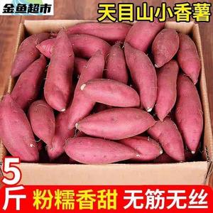 中果天目山小香薯临安新鲜白心板栗红薯沙地沃容5斤山芋蜜薯紫薯