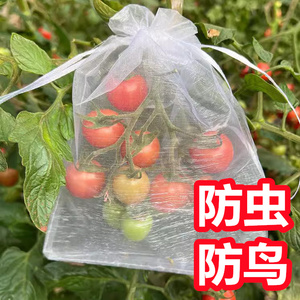 小番茄套袋专用袋 西红柿套袋果袋 套西红柿的袋子防虫鸟果蝇保护