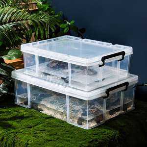 乌龟周转箱家用过滤造景塑料专养龟缸透明生态箱生物养鱼养殖箱子