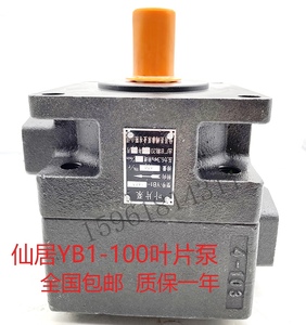 M7130叶片泵YB1-100杭州 M7132B M7140液压泵 M7160平面磨床油泵