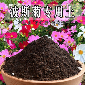 波斯菊专用土波斯菊专用营养土菊花盆栽养花种花土通用土种植土壤