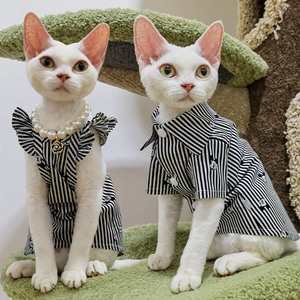 两款无毛猫衣服德文斯芬克斯夏季全棉微弹衬衫吊带裙宠物项链