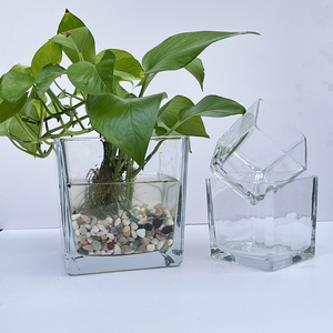 水培玻璃花盆器皿郁金香透明花盆方缸水养植物创意花瓶绿萝洋水仙