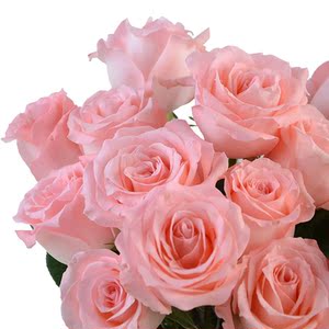 怎么做无货源账号 怎么做无货源