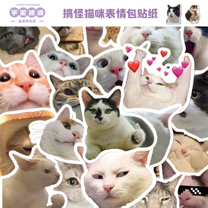 50张搞怪搞笑猫咪贴纸手账本手机壳学生桌面装饰玩具防水DIY贴画