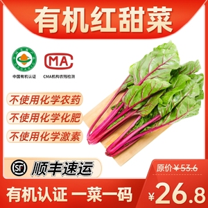 绿源禾心 有机新鲜红甜菜 约500g 新鲜蔬菜