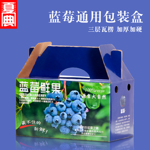 蓝莓包装盒高档手提1斤2蓝莓礼盒空盒带内盒125g水果纸盒批发加印