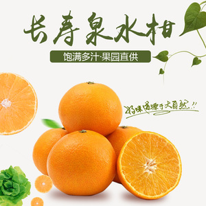 钟祥长寿泉水柑现摘果园直发农产品钟祥特产 桔子 橙子