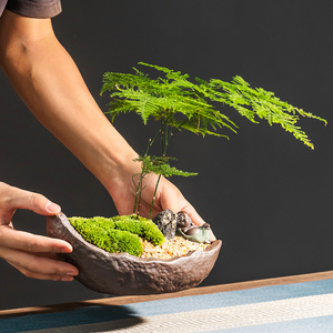 紫砂文竹花盆陶瓷一叶船中式复古创意绿植大口径家用桌面摆件带托