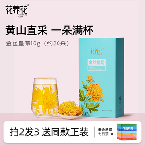 花养花金丝皇菊黄山贡菊胎菊大菊花茶泡水喝大朵正品礼盒包装独立